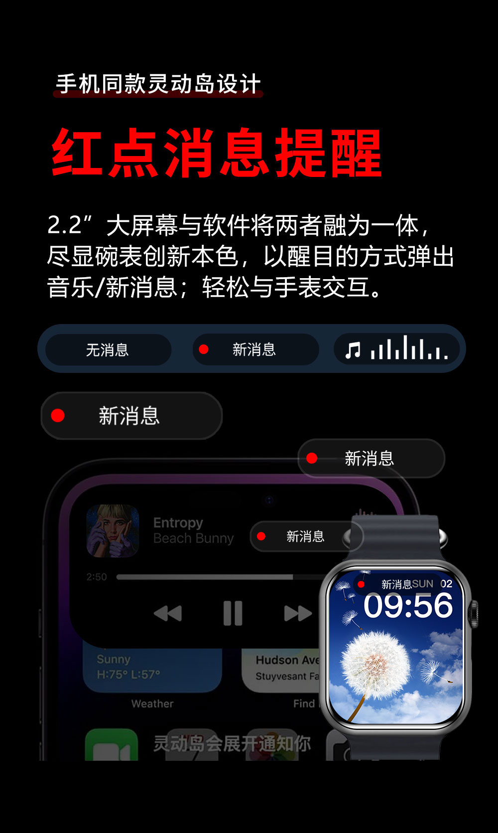 9M9-PRO-zw_09.jpg